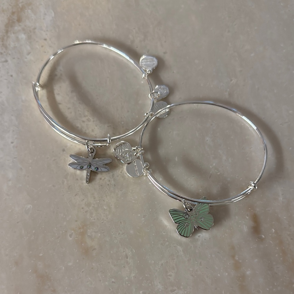 Alex and Ani Silver Bracelet Set with Dragonfly and Butterfly Charms